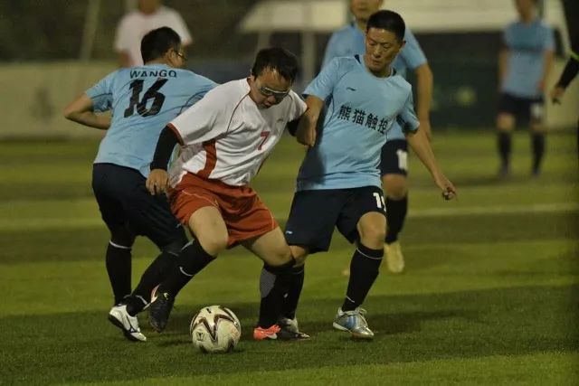 荷兰队今年主场进球已达23个 追平队史最佳纪录